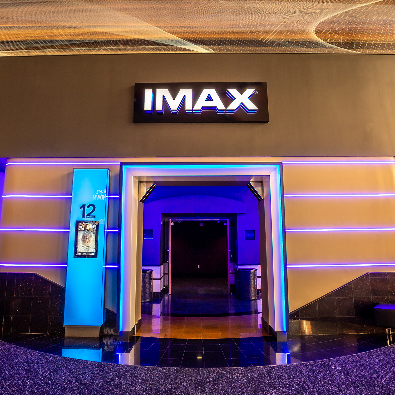 Premium Format Movie Ticket (Print at Home)